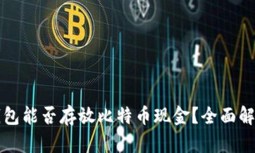 比特币钱包能否存放比特币现金?全面解析与指南