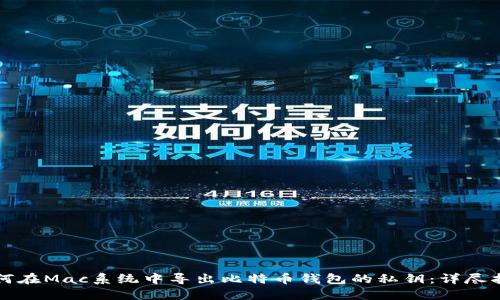 如何在Mac系统中导出比特币钱包的私钥:详尽指南