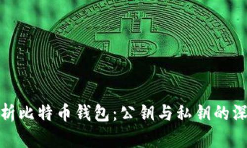 全面解析比特币钱包:公钥与私钥的深入探讨