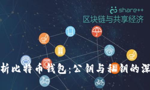全面解析比特币钱包:公钥与私钥的深入探讨