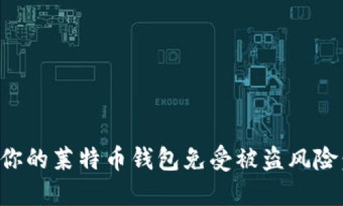 如何保护你的莱特币钱包免受被盗风险:全面指南