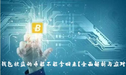 数字钱包被盗的币能不能拿回来?全面解析与应对策略