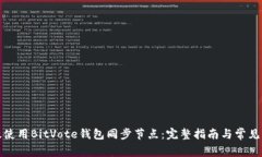 如何有效使用BitVote钱包同