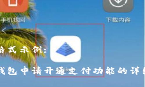 网页格式示例:
数字钱包申请开通支付功能的详细指南