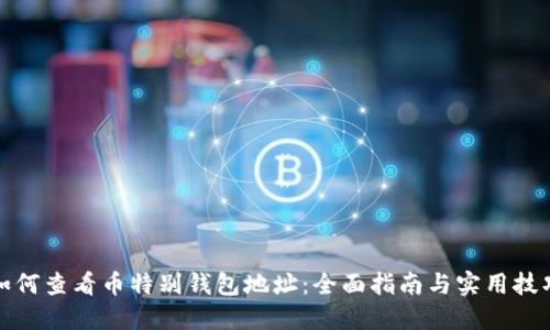 如何查看币特别钱包地址:全面指南与实用技巧