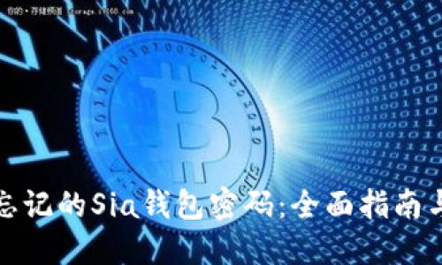 如何找回忘记的Sia钱包密码:全面指南与解决方案