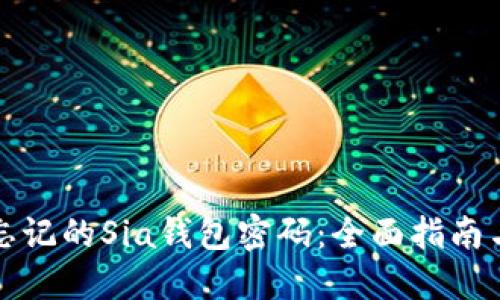 如何找回忘记的Sia钱包密码:全面指南与解决方案