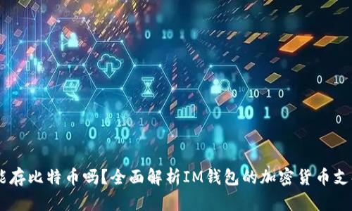 IM钱包能存比特币吗?全面解析IM钱包的加密货币支持与功能