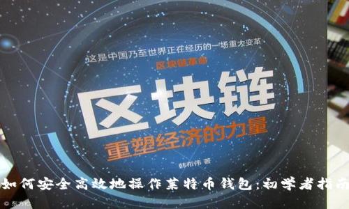 如何安全高效地操作莱特币钱包:初学者指南