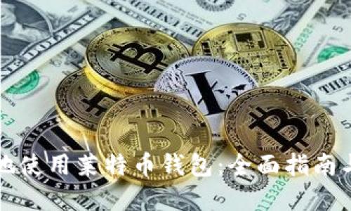 如何安全地使用莱特币钱包:全面指南与最佳实践