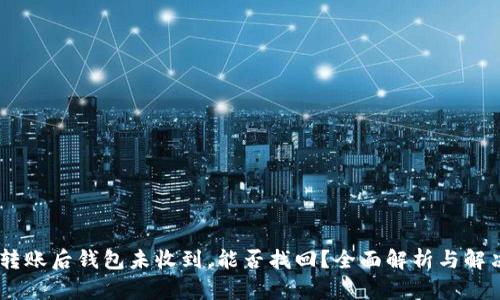 USDT转账后钱包未收到,能否找回?全面解析与解决方案