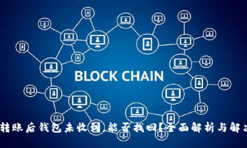 USDT转账后钱包未收到,能否找回?全面解析与解决方案