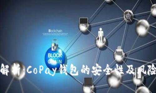 完全解析:CoPay钱包的安全性及风险防范