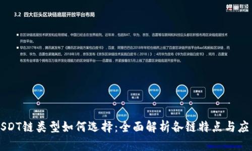 USDT链类型如何选择:全面解析各链特点与应用
