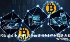 如何选择适合存储BTS的数