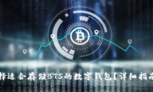 如何选择适合存储BTS的数字钱包?详细指南与推荐