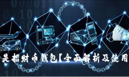 什么是招财币钱包?全面解析及使用指南