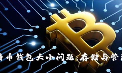如何解决比特币钱包大小问题:存储与管理的全面指南