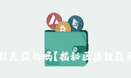 区块链钱包能查到是谁的吗?揭秘区块链隐私与透明性的真相