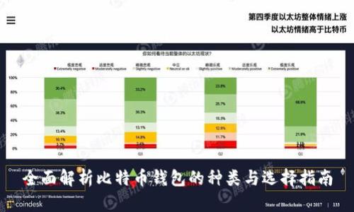 全面解析比特币钱包的种类与选择指南