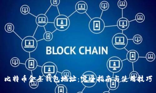 比特币金条钱包地址:完全指南与使用技巧