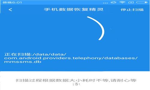 XRP币钱包指南:选择与使用最合适的XRP钱包