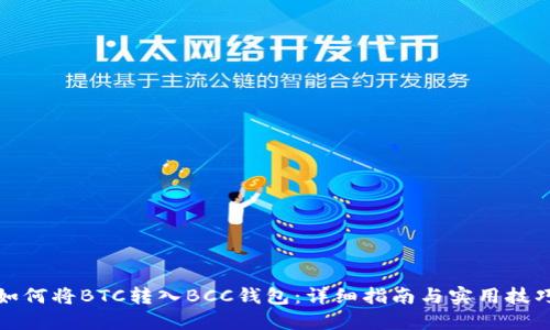 如何将BTC转入BCC钱包:详细指南与实用技巧