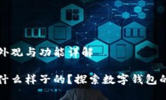 数字钱包的外观与功能详