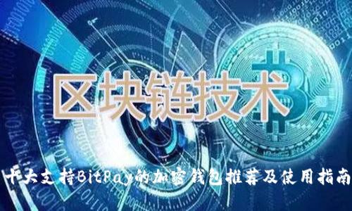 十大支持BitPay的加密钱包推荐及使用指南