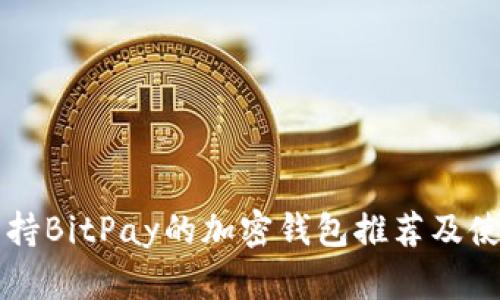 十大支持BitPay的加密钱包推荐及使用指南