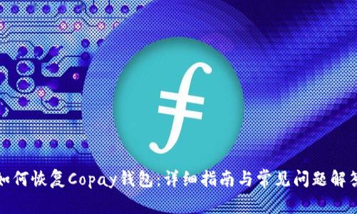如何恢复Copay钱包:详细指南与常见问题解答