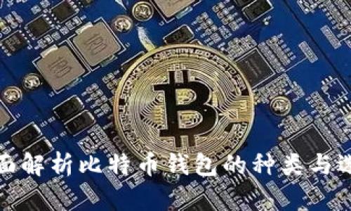 全面解析比特币钱包的种类与选择