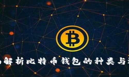 全面解析比特币钱包的种类与选择