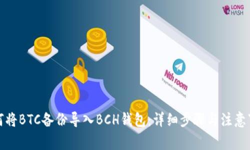 如何将BTC备份导入BCH钱包:详细步骤与注意事项