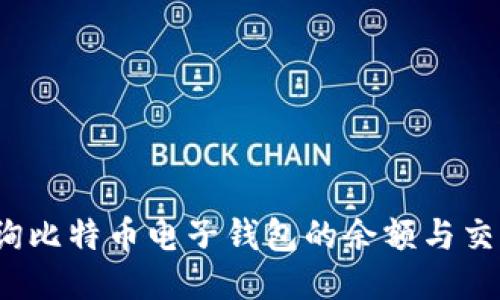 如何查询比特币电子钱包的余额与交易记录?