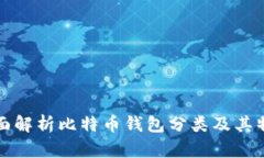 全面解析比特币钱包分类