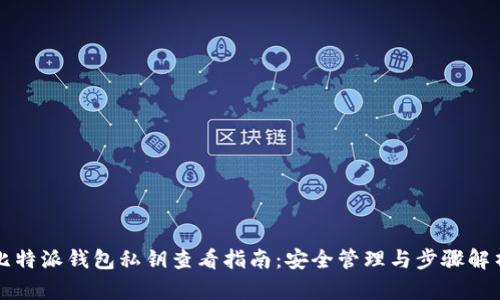 比特派钱包私钥查看指南:安全管理与步骤解析