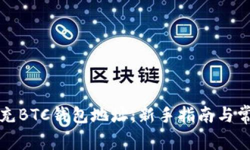 如何正确填充BTC钱包地址:新手指南与常见问题解答