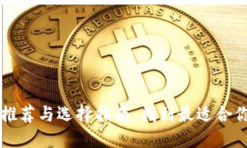比太币钱包推荐与选择指南:找到最适合你的钱包类型