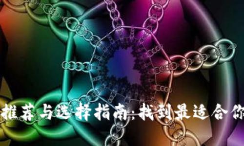 比太币钱包推荐与选择指南:找到最适合你的钱包类型