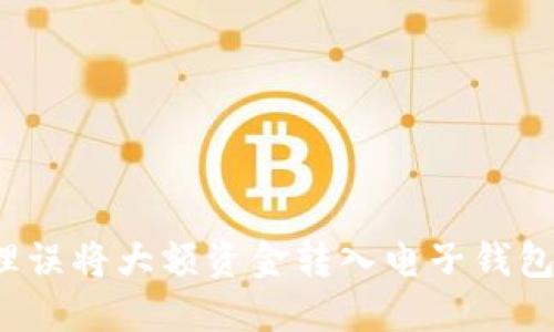 如何处理误将大额资金转入电子钱包的情况?