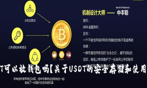 USDT可以放钱包吗?关于USDT的安全存储和使用指南