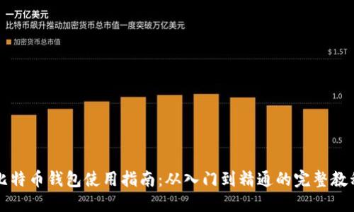 比特币钱包使用指南:从入门到精通的完整教程