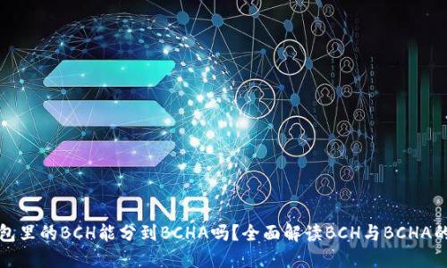 在钱包里的BCH能分到BCHA吗?全面解读BCH与BCHA的关系