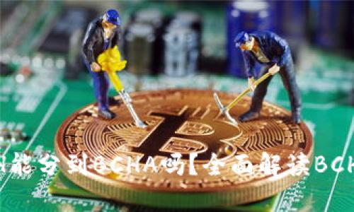 在钱包里的BCH能分到BCHA吗?全面解读BCH与BCHA的关系