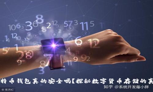 比特币钱包真的安全吗?探秘数字货币存储的真相