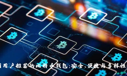 中国用户推荐的比特币钱包:安全、便捷与多样性选择