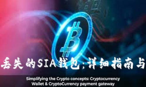 如何找回丢失的SIA钱包:详细指南与实用建议