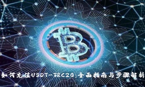 如何充值USDT-TRC20:全面指南与步骤解析