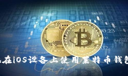 如何安全地在iOS设备上使用莱特币钱包?全面指南
